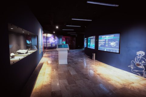 Museo de Ciencias Chicxulub
